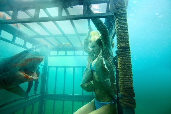 Shark Night (2) Shark Night 2