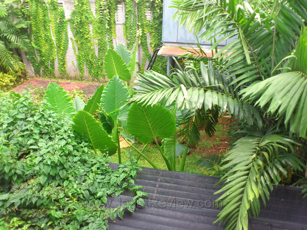 Xperia Neo Kamera Utama Outdoor