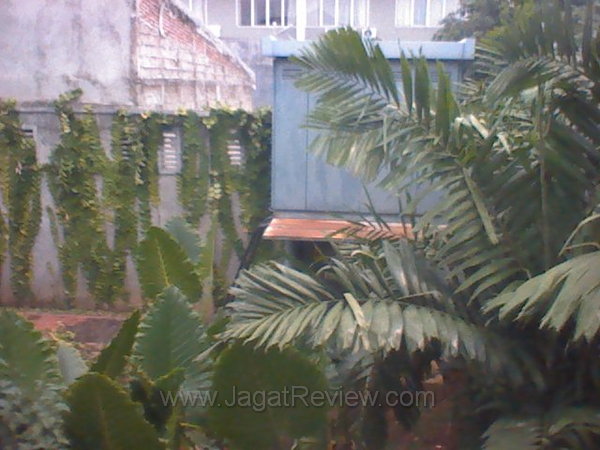 Xperia Neo Kamera depan outdoor