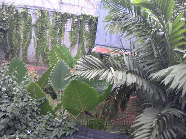 Samsung Galaxy Note Kamera Depan Outdoor