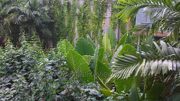 HTC One X - Kamera Depan Outdoor