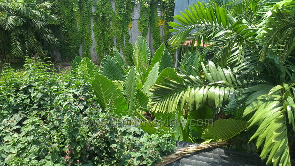 HTC One X - Kamera Utama Outdoor