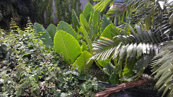 HTC Sensation XE - Kamera Utama Outdoor