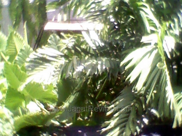 Lenovo A60  - Kamera Depan Outdoor