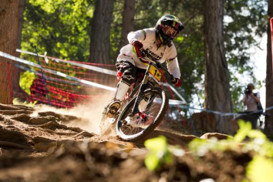 Trek Carbon Session 9.9