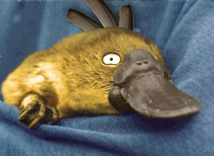 Mari Menangkap Pokemon di Dunia Nyata! 7 psyduck
