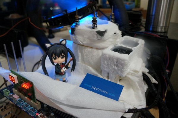 jagatocigp3 jagatocigp3