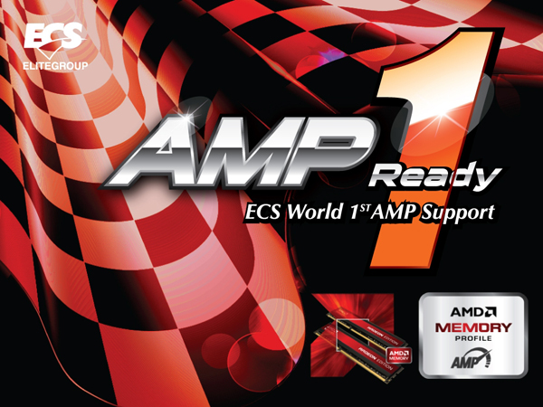 AMP AMP