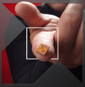 AMDLogo1