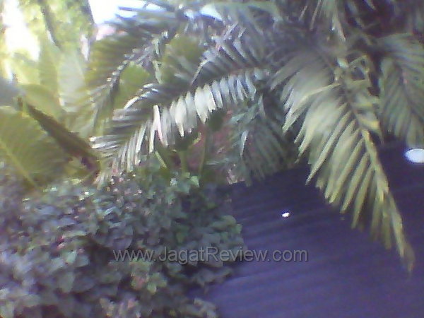 Sony Xperia Neo L Hasil Kamera Depan Outdoor