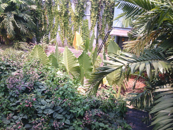 Axioo PicoPad 5 Hasil Kamera Utama Outdoor