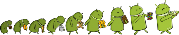 2012.11.30 android evolution