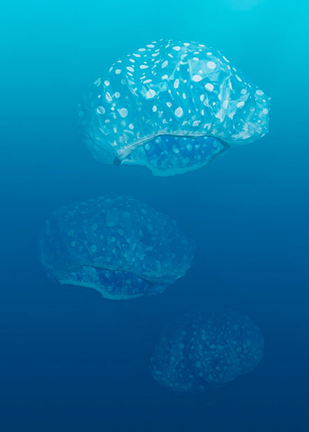 garbageocean.jpg-2 garbageocean.jpg 2