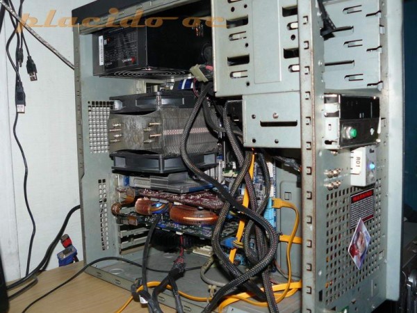placid 8800gt