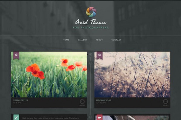 wordpressportfolio 2