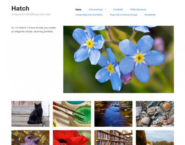 wordpressportfolio 5