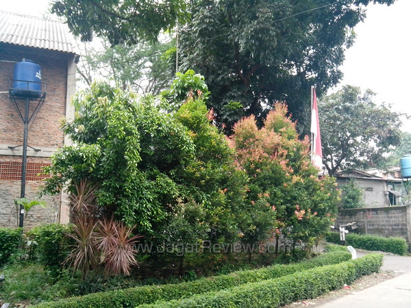 muscle power ultra pro phone tab 5 outdoor back camera muscle power ultra pro phone tab 5 outdoor back camera