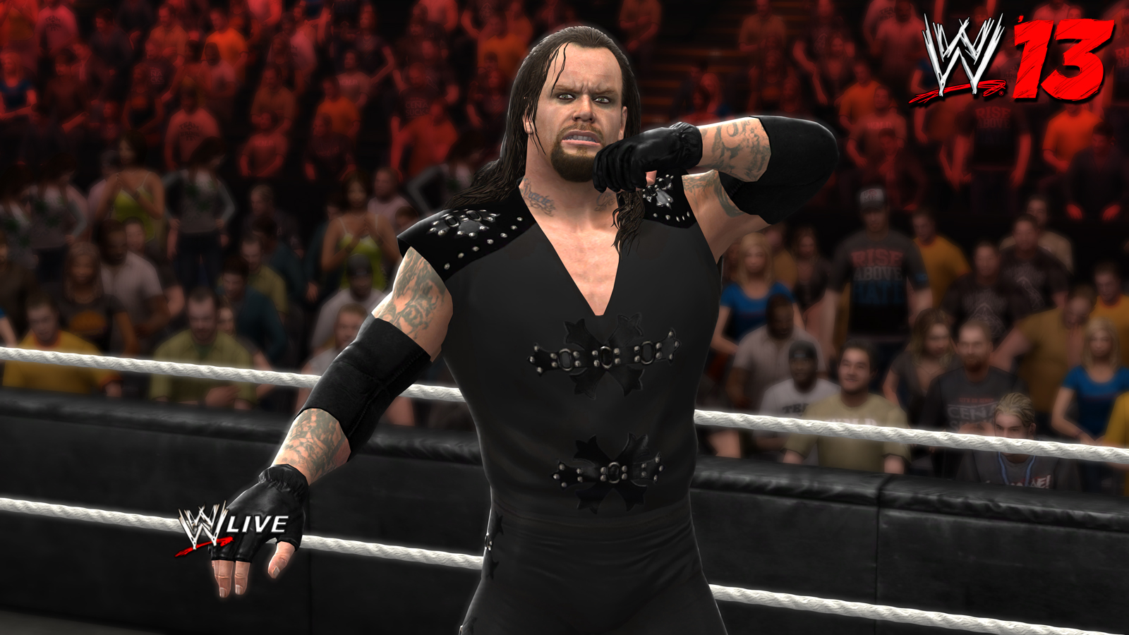 wwe13