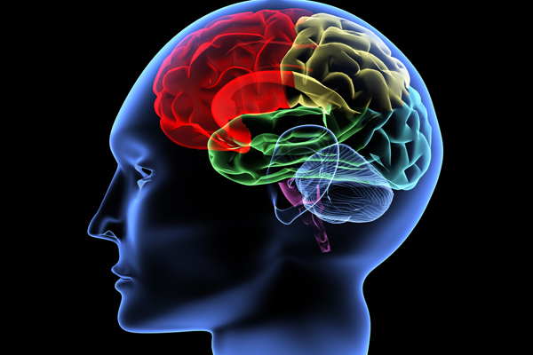 Pemindaian Otak Dapat Memprediksi Tingkat Perilaku Kriminal Seseorang 1 brainscan