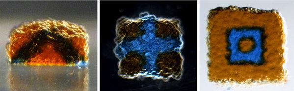 3d-printing-cell 3d printing cell