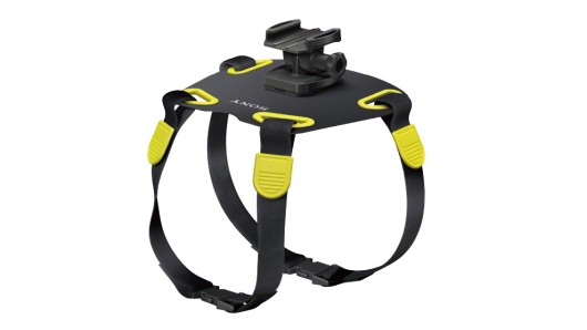 sony action cam dog harness