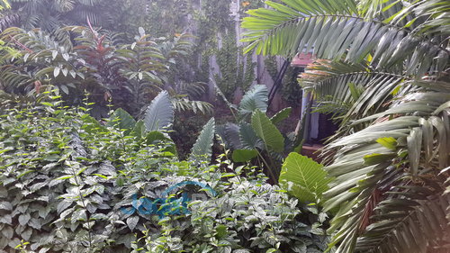 Samsung Galaxy S4 - Kamera Utama Outdoor