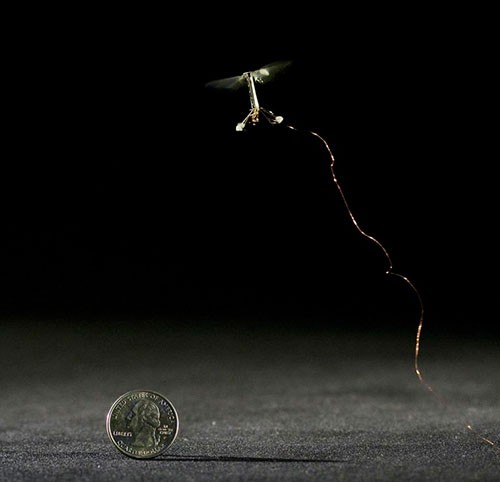 robobee