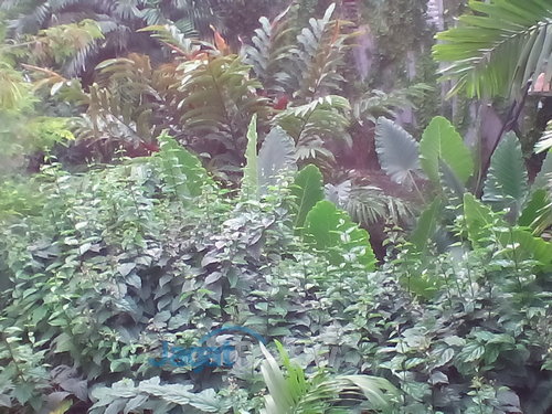 Polytron Quadra - Kamera Depan Outdoor