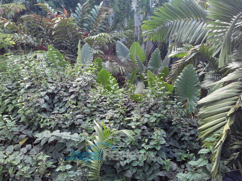 Polytron Quadra - Kamera Utama Outdoor