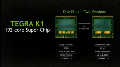 K1 Chips