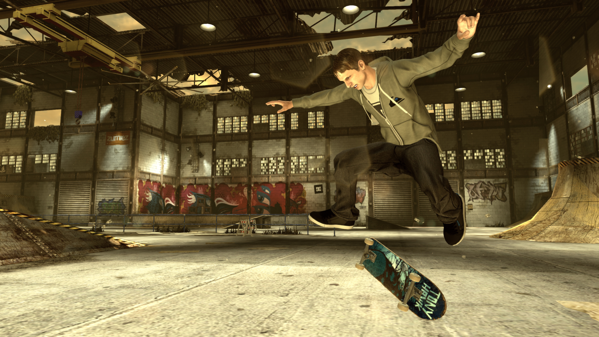 tony hawk