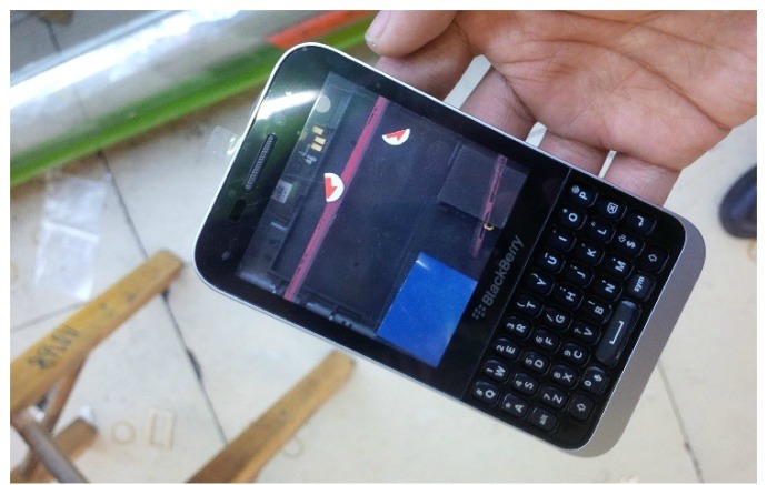blackberry kopi 1