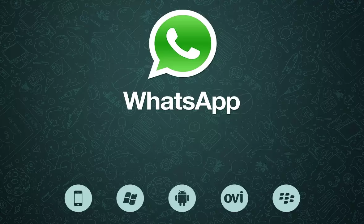 whatsapp windows phone header logo