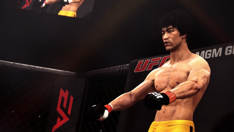 bruce lee ufc