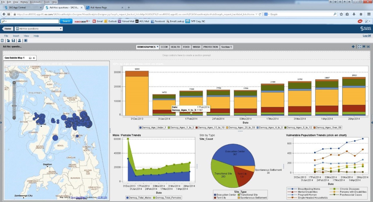 SAS Visual Analytics display