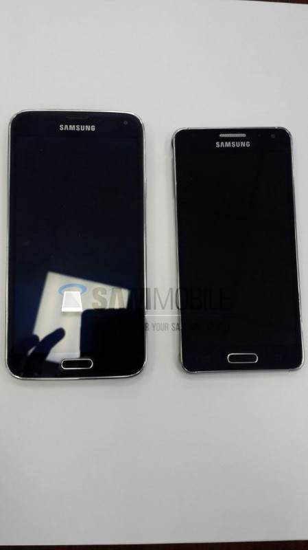 gs5-alpha-1