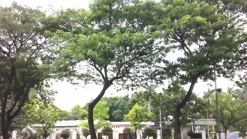 Review Moto G: Smartphone Dual SIM Murah Pertama Motorola 5 Moto G - Hasil Kamera Depan Outdoor