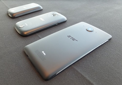 acer