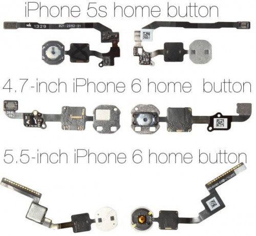 Komponen yang Diduga Milik iPhone 6 Bocor di Dunia Maya 1 iPhone6homebuttons-640x590