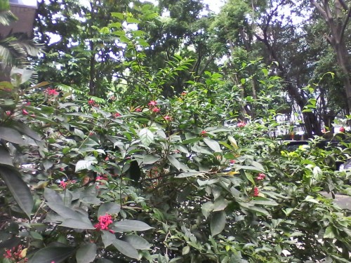 20140822_114549