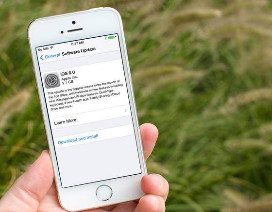 ios 81