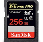 SanDisk Hadirkan SD Card 512 GB 2 sd-sdextremePRO-256g