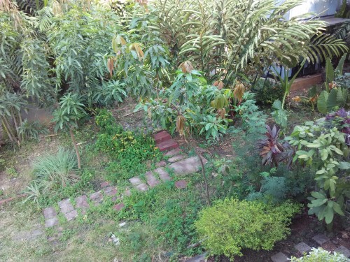 Hasil Kamera Utama Outdoor