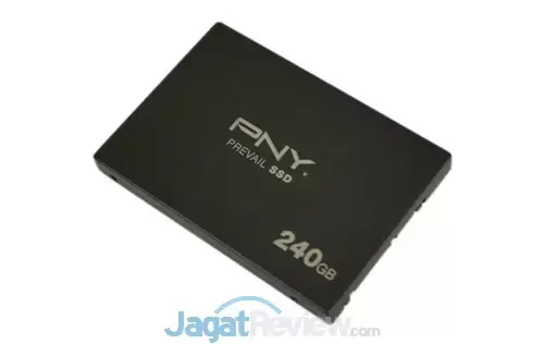 PNY Prevail SSD 240GB