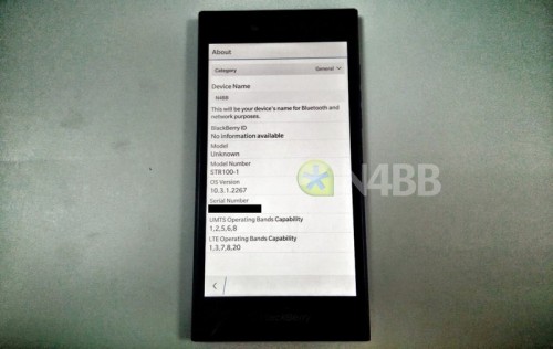 blackberry-leap-4