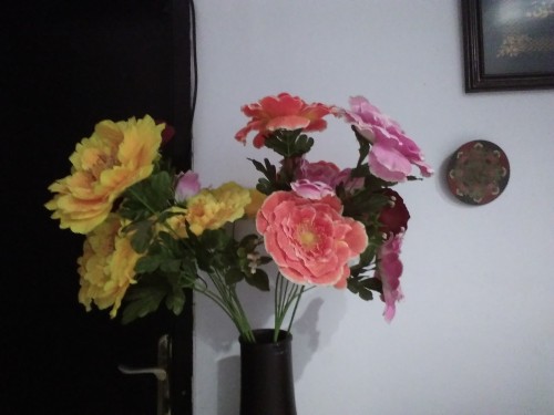 Hasil foto Oppo R5 (5)