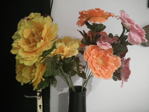 Hasil foto Oppo R5 (2)