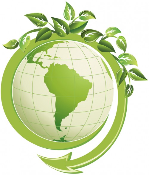 eco-friendly-solutions-our-green-initiative-898x1050
