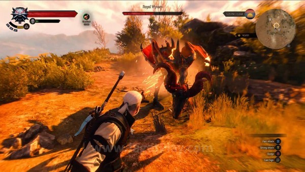 The Witcher 3 wild hunt 7 minutes gameplay 28