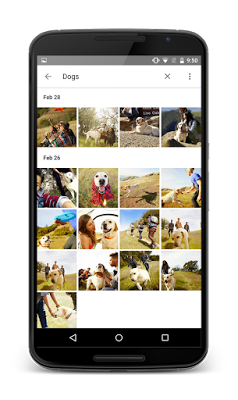 Google Bawa Segudang Fitur di Layanan Baru Google Photos 2 slide8b_framed